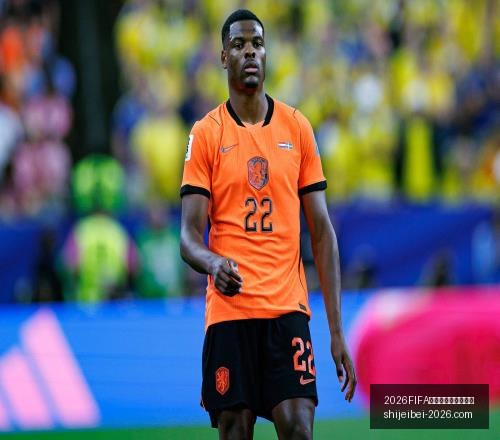 世界盃足球,運彩分析,2026FIFA世界盃足球運彩分析,2026FIFA世界盃官网,足球运彩分析,世界盃投注技巧,2026世界杯优势劣势,赛事数据预测