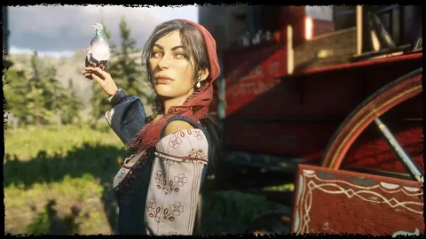 宝可梦Pokopia非动物森友会亦非宝贝万岁解析